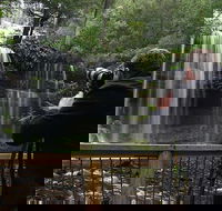 Mt Field and Styx Valley Photography Tour - Restaurants Sydney
