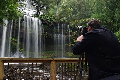Mt Field And Styx Valley Photography Tour - Restaurants Sydney 0