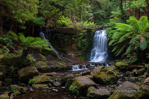 Mt Field And Styx Valley Photography Tour - Restaurants Sydney 3