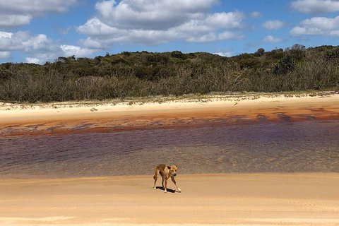 Pippies 3 Days 2 Nights Fraser Island Tour - Restaurants Sydney 2