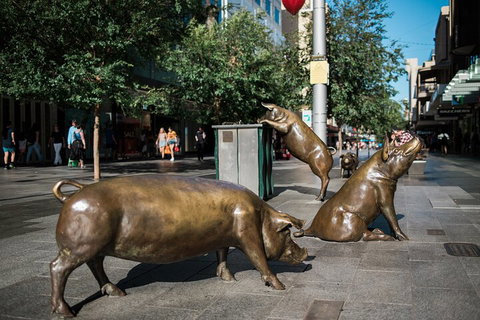 Guided Walking Tour In Adelaide - Restaurants Sydney 4