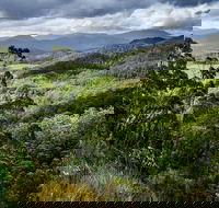 3-Day Tour to the Falls Mountains Lake  More of West Coast Tasmania - Restaurants Sydney
