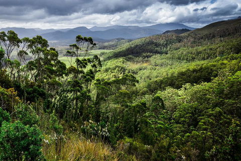 3-Day Tour To The Falls, Mountains, Lake & More Of West Coast Tasmania - Restaurants Sydney 0