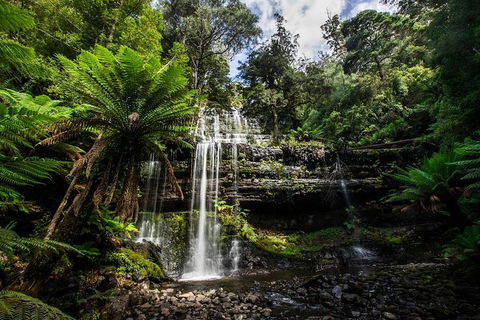3-Day Tour To The Falls, Mountains, Lake & More Of West Coast Tasmania - Restaurants Sydney 4
