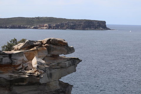 Private Sydney City And Bondi Beach Half Day Tour - Restaurants Sydney 3