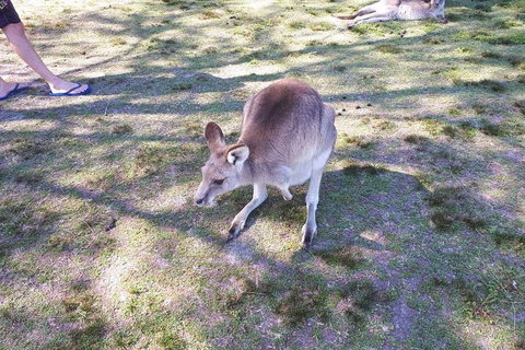 Private & Fully Guided 4-day Sydney Tour Package - Restaurants Sydney 5