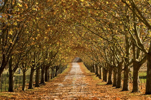 Private Southern Highlands Day Trip From Sydney Including Fitzroy Falls - Restaurants Sydney 4