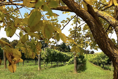 Private Southern Highlands Day Trip From Sydney Including Fitzroy Falls - Restaurants Sydney 5