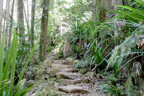 Byron Bay Combo: Minyon Falls And Hinterland Day Trip And Learn To Surf At Byron Bay - Restaurants Sydney 3