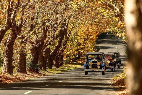 Blue Mountains Vintage Cadillac Tour With Local Guide - Restaurants Sydney 1