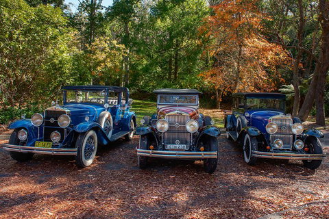 Blue Mountains Vintage Cadillac Tour With Local Guide - Restaurants Sydney 4