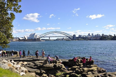 Sydney Sightseeing Bus Tours - Restaurants Sydney 2