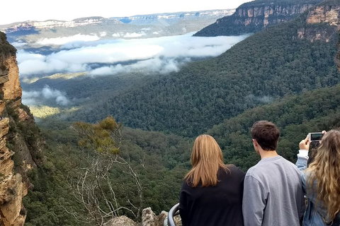 Blue Mountains Private Tour - Wild Kangaroos, Waterfalls And The Three Sisters - Restaurants Sydney 3