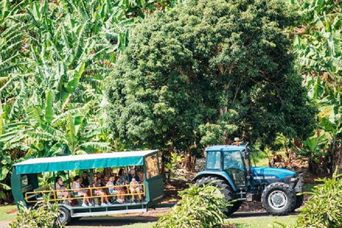 Tropical Fruit World With Wildlife Boat Cruise From Gold Coast - Restaurants Sydney 1