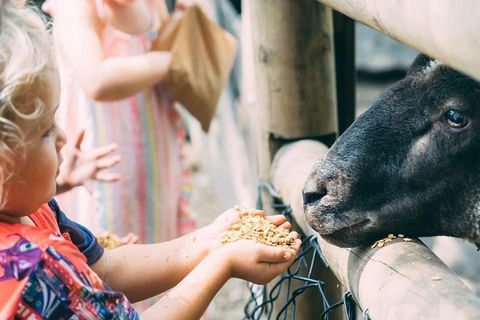 Tropical Fruit World With Wildlife Boat Cruise From Gold Coast - Restaurants Sydney 5