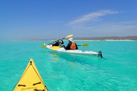 Lagoon Explorer - Ningaloo Reef Full-Day Kayaking And Snorkeling Adventure - Restaurants Sydney 0