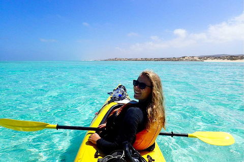 Lagoon Explorer - Ningaloo Reef Full-Day Kayaking And Snorkeling Adventure - Restaurants Sydney 1