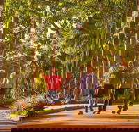 Darwin City Sights and Jumping Crocodile Cruise - Restaurants Sydney