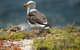 From The Mountains To The Bay - 4 Day Rediscovery Small Group Tour - thumb 1