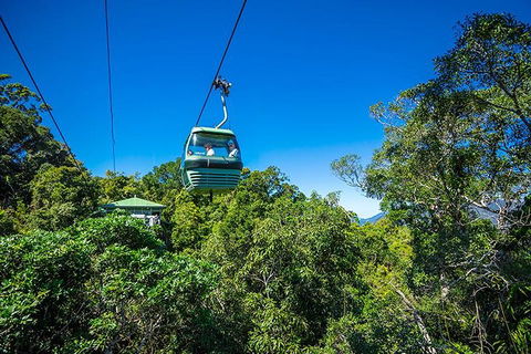 Skyrail Rainforest Cableway Day Trip From Cairns - Restaurants Sydney 1
