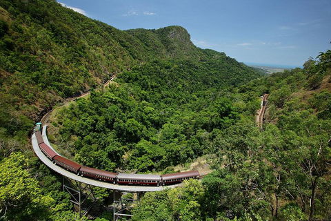 Skyrail Rainforest Cableway Day Trip From Cairns - Restaurants Sydney 5