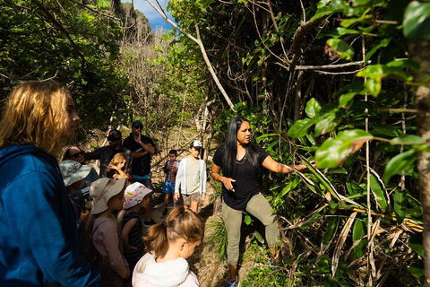 Cape Byron Aboriginal Tour - Restaurants Sydney 4