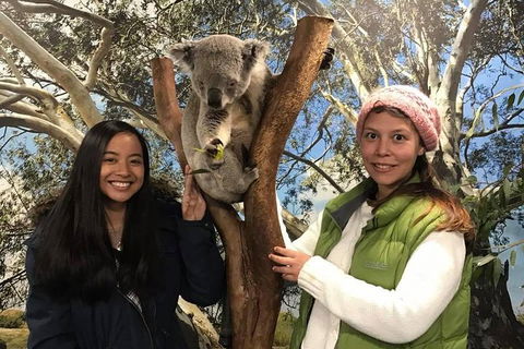 The Ultimate Sydney Attractions Pass - Restaurants Sydney 1