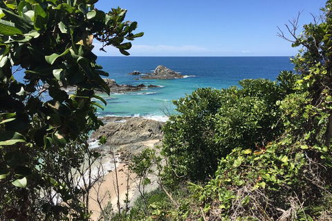 Behind The Bay - Explore Like A Local - Restaurants Sydney 1