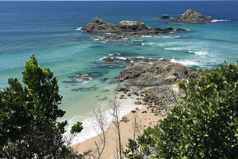 Behind The Bay - Explore Like A Local - Restaurants Sydney 3