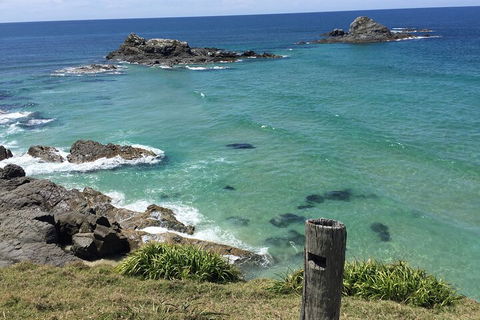 Behind The Bay - Explore Like A Local - Restaurants Sydney 5