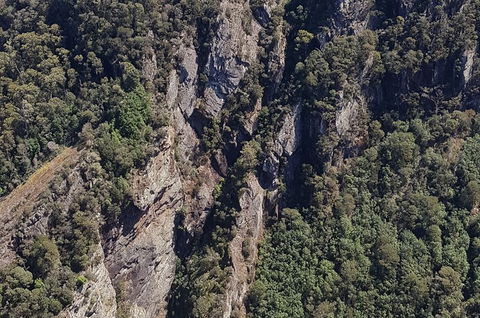 Leven Canyon Day Trip Including Wings Wildlife Park Or Gunns Plains Caves - Restaurants Sydney 0
