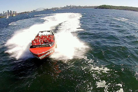 Sydney Harbour Jet Boat Thrill Ride: 30 Minutes - Restaurants Sydney 0