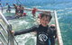 Port Stephens Private Tour From Sydney, With Dolphin/ Whale Cruise Options - thumb 0