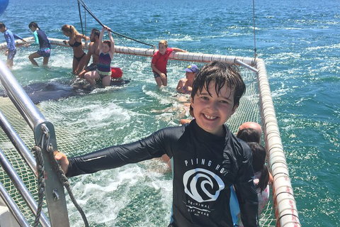 Port Stephens Private Tour From Sydney, With Dolphin/ Whale Cruise Options - Restaurants Sydney 0