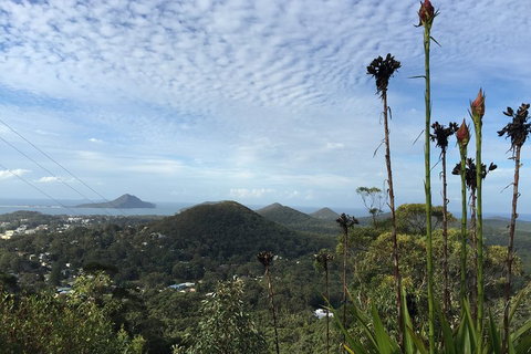 Port Stephens Private Tour From Sydney, With Dolphin/ Whale Cruise Options - Restaurants Sydney 3