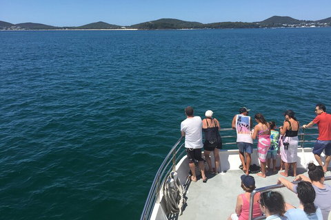 Port Stephens Private Tour From Sydney, With Dolphin/ Whale Cruise Options - Restaurants Sydney 4