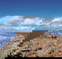 4 Day Tour Albany Margaret River Valley of the Giants TreeTop Walk from Perth - Restaurants Sydney