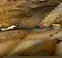 2-Day Wave Rock York Wildflowers  Aboriginal Experience - Restaurants Sydney