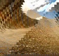 Wave Rock York Wildflowers and Aboriginal Cultural Day Tour from Perth - Restaurants Sydney