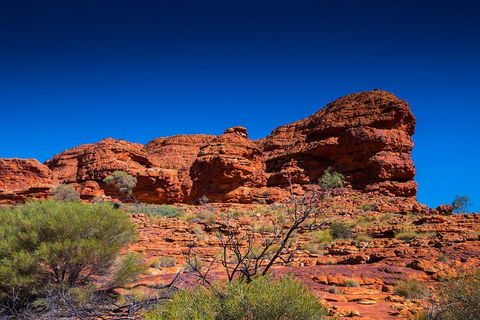 7-Day Guided Tour Of Alice Springs With Accommodation Included - Restaurants Sydney 4