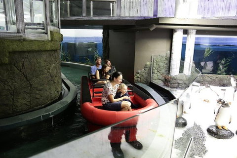 Sydney Attractions Pass: SEA LIFE Aquarium, Sydney Tower Eye, WILD LIFE Zoo And Madame Tussauds - Restaurants Sydney 0