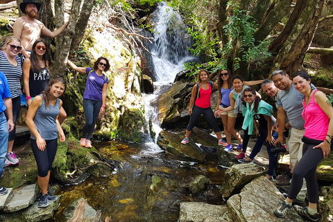 7-Day Super Value Tour Of Tasmania: Explore Tasmania's West And East Coasts - Restaurants Sydney 2