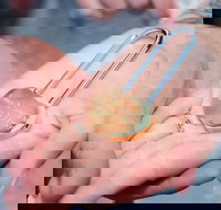 The Romance Package Bell Tower tour for 2 people plus personalised Love Lock - Restaurants Sydney