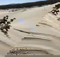 Port Stephens Bush Beach and Sand Dune 4WD Tag-Along Tour - Restaurants Sydney