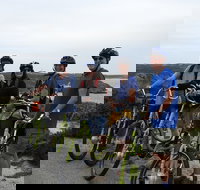 Perth Electric Bike Tours - Restaurants Sydney