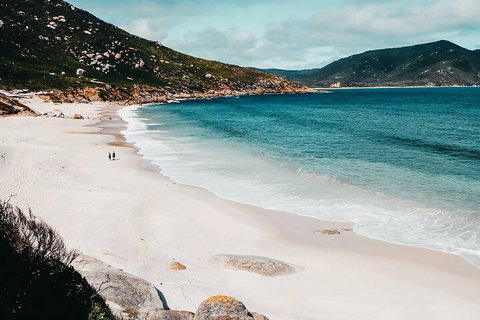 Private Wilsons Promontory Hiking Tour From Melbourne - Restaurants Sydney 5