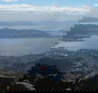 Mt Wellington Tour and MONA Admission - Restaurants Sydney