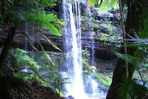 Mt Field National Park And Russell Falls From Hobart - Restaurants Sydney 0