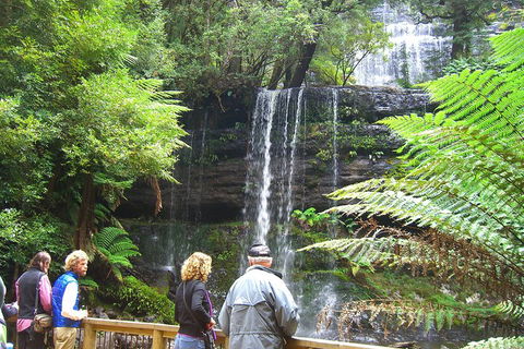 Mt Field National Park And Russell Falls From Hobart - Restaurants Sydney 1