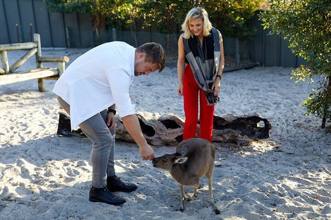 Albany's Whale Story - Restaurants Sydney 1